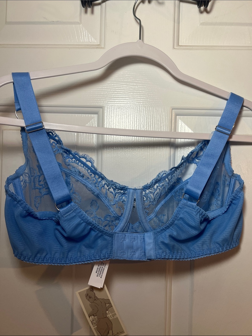 Lise Charmel Sheer Lace Demi-Cup Bra in Light Blue - Picture 6 of 7